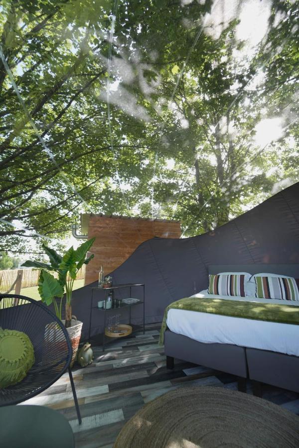 Bulles Odette & Ginette Et Tiny House Suzette 